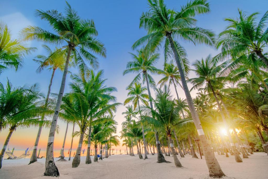 Tropical destination